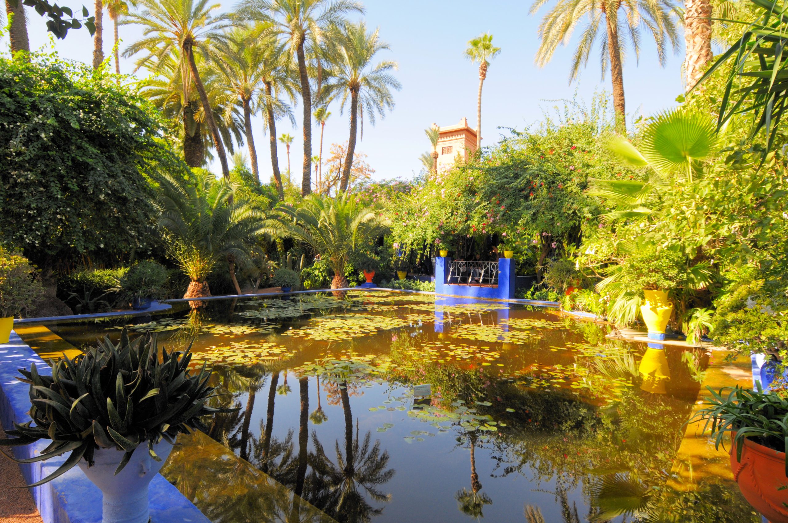 The Majorelle Garden