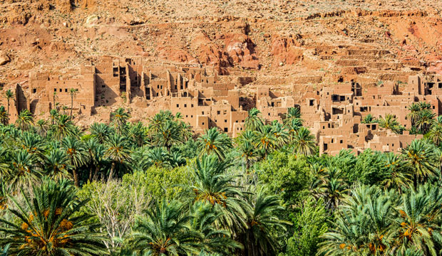 Explore the best of Morocco