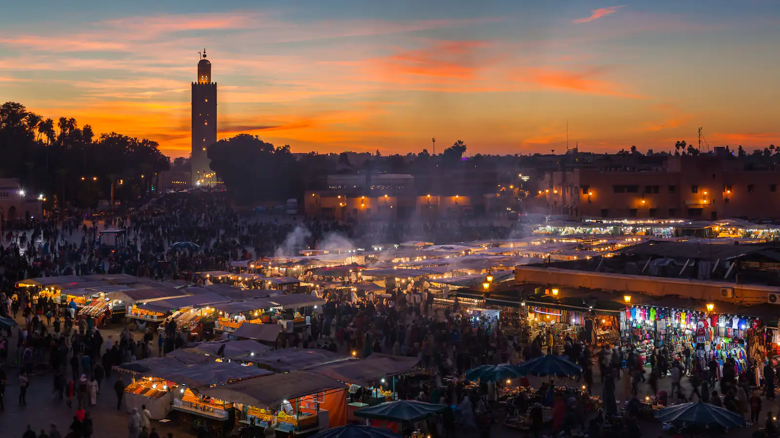 Explore the best of Morocco